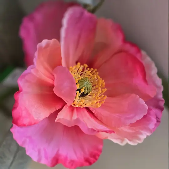 Close up van zijden roze bloem