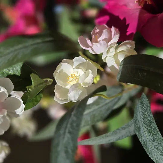 Zijden bloemen in wit, roze en groen
