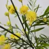 Kunsttakken mimosa met gele bloemen en groene bladeren