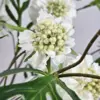 Witte zijden scabiosa bloemen met groene bladeren
