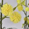 Kunsttak mimosa met gele bloemen