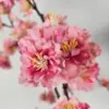 Zijden bloesemtak met roze-gele bloemen op lichte achtergrond
