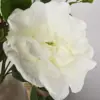 Witte zijden roos met groene bladeren