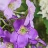 Zijden paarse bloemen van delphinium tak