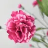 Roze zijden anjerbloem op witte achtergrond