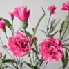 Zijden roze anjer bloemen op wit-grijze achtergrond