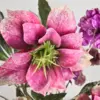 Roze zijden bloem, kunstbloem helleborus