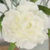 Witte zijden bloem