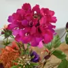 Close up van Roze zijden bloem in boeket