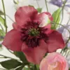 Close up van donkerroze zijden bloem