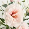 Close up van roze zijden bloem