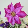 Close up van zijden bloem